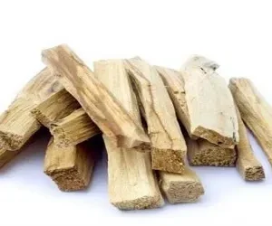 PALO SANTO